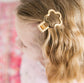 Gold Clips